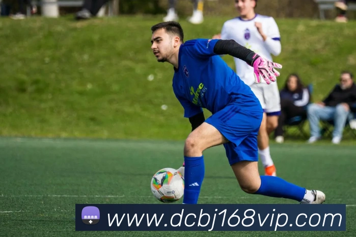 App Interface Preview