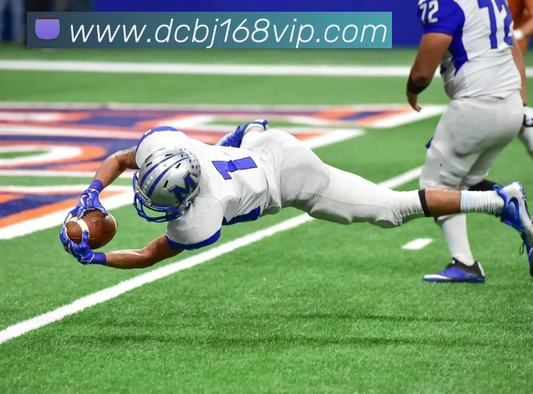 大城百家APP 封面图